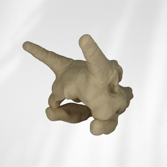 Charizard Skull