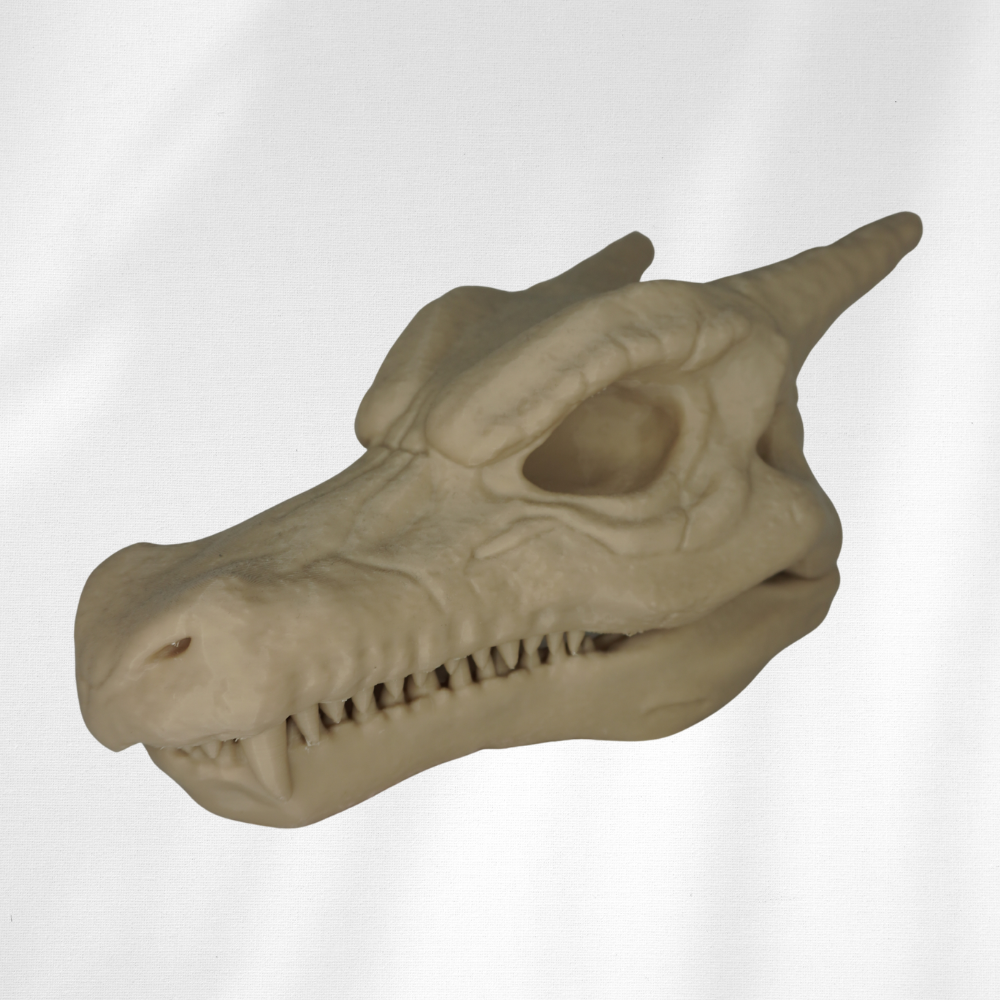 Charizard Skull