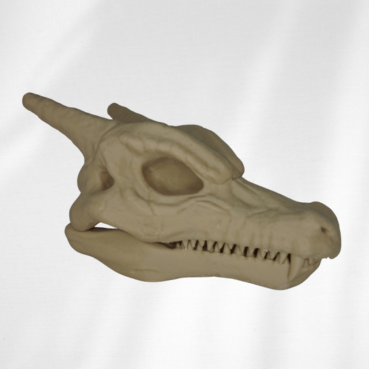 Charizard Skull