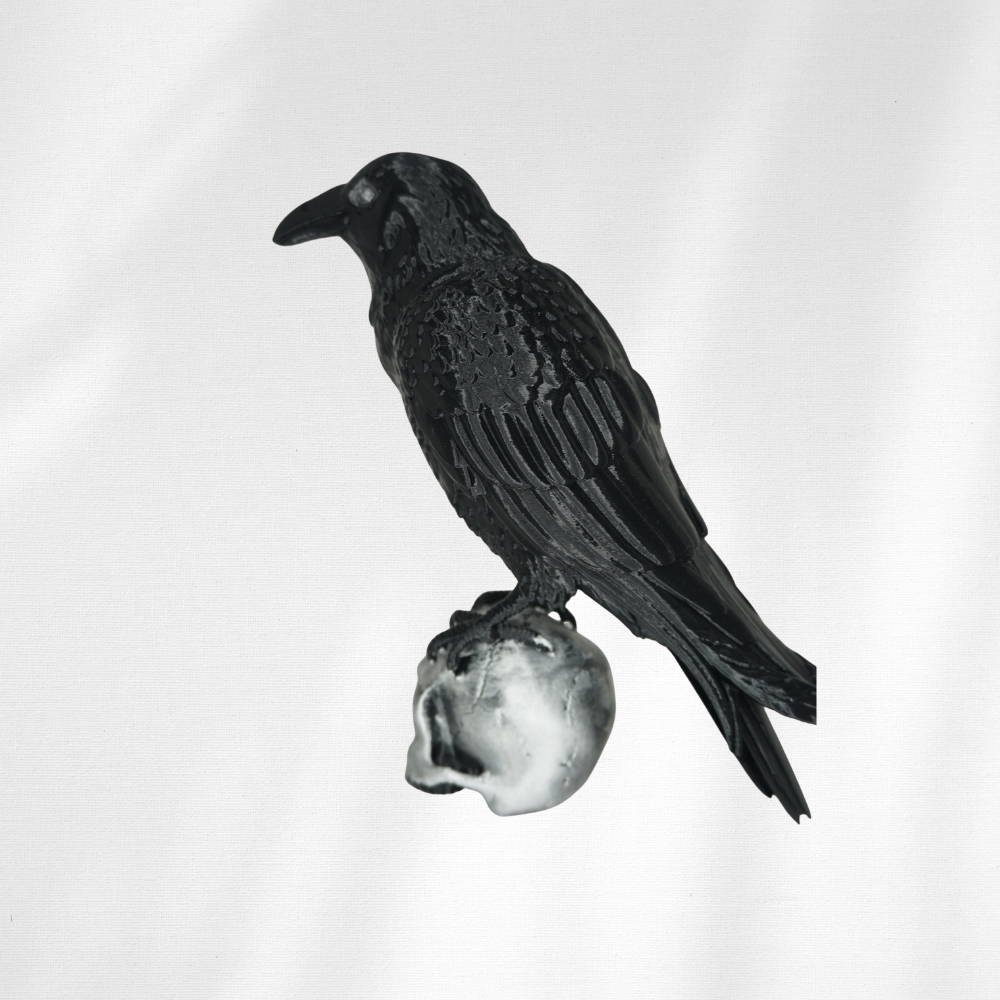 Crow and Skull