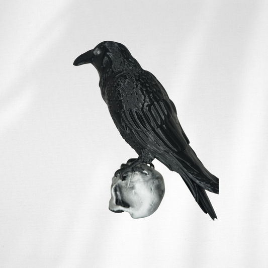 Crow and Skull