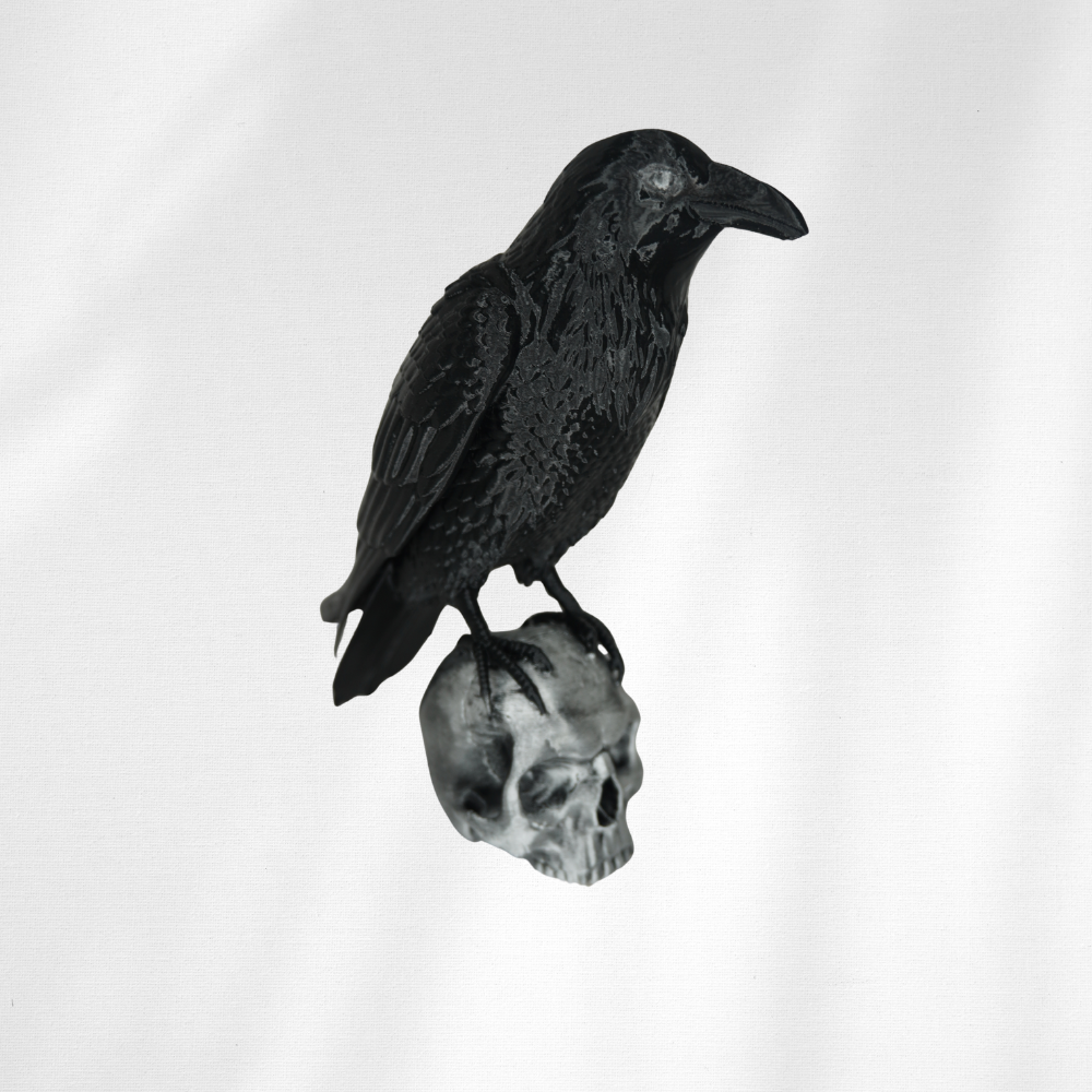 Crow and Skull