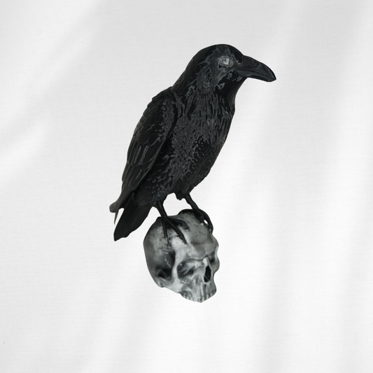 Crow and Skull