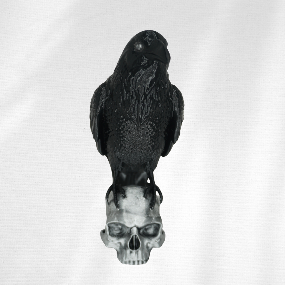 Crow and Skull