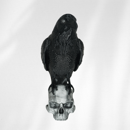 Crow and Skull